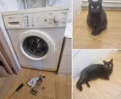 Сервисный центр CMAremont фото 15 Сервисный центр CMAremont фото 15